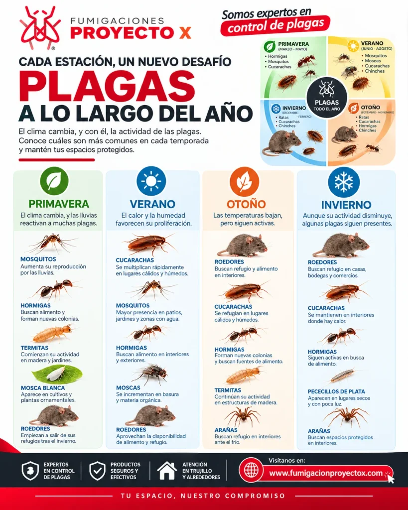 Fumigaciones en Trujillo